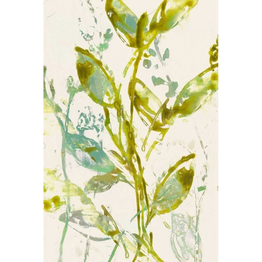 Watercolor Leaves I Poster Print - Jennifer Goldberger-VARPDX152691FN Image 1