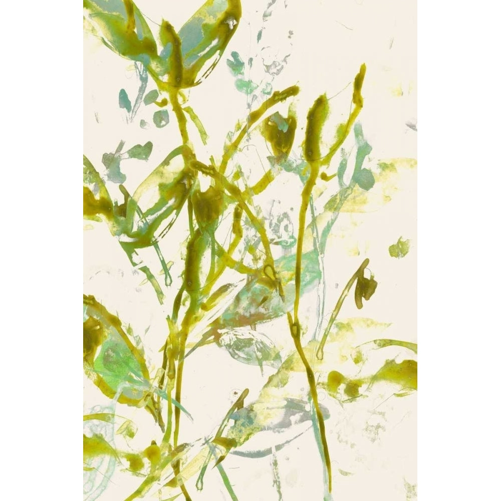 Watercolor Leaves II Poster Print - Jennifer Goldberger-VARPDX152692FN Image 1