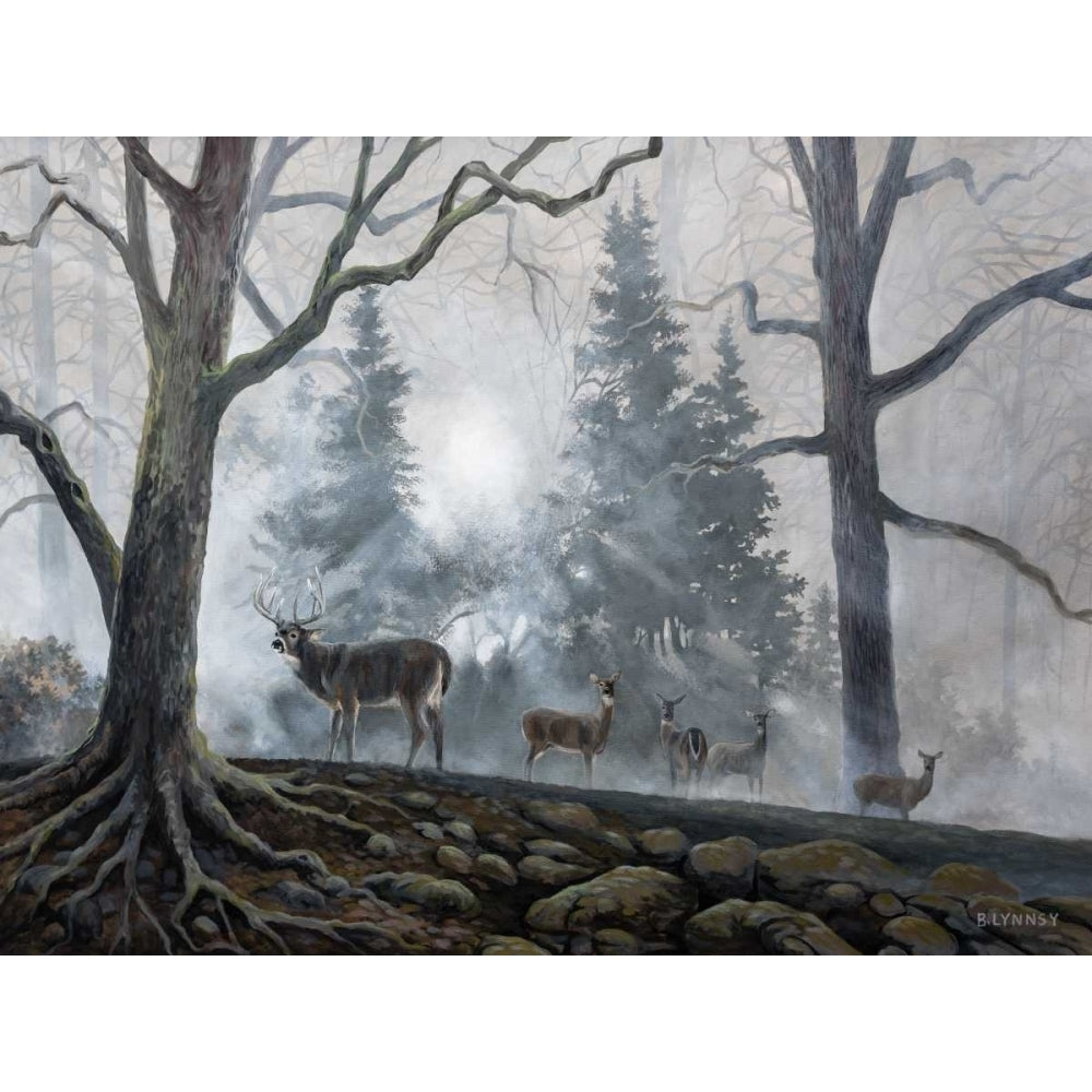 Deer Path I Poster Print - B. Lynnsy-VARPDX152717GG Image 1