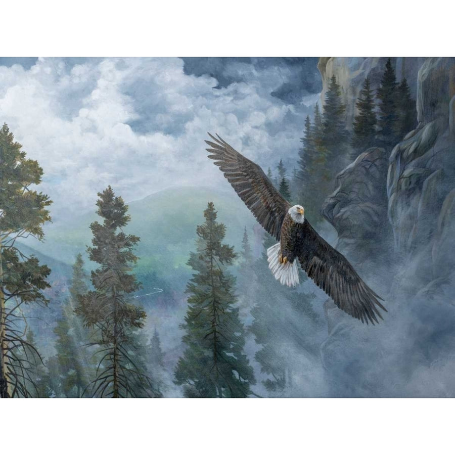 Soaring High II Poster Print - B. Lynnsy-VARPDX152722GG Image 1