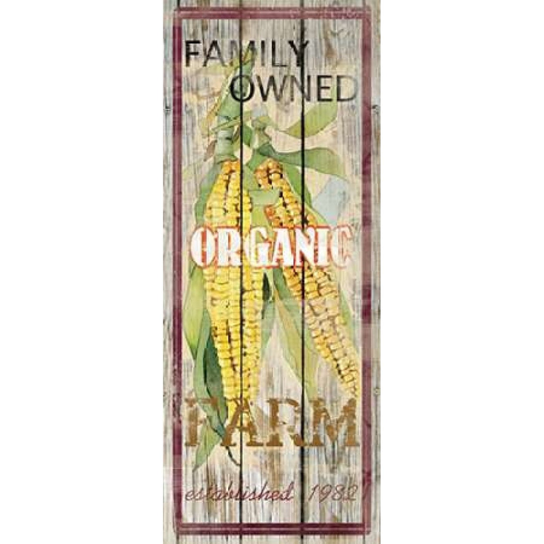 Corn Poster Print by Carol Robinson-VARPDX15279 Image 1