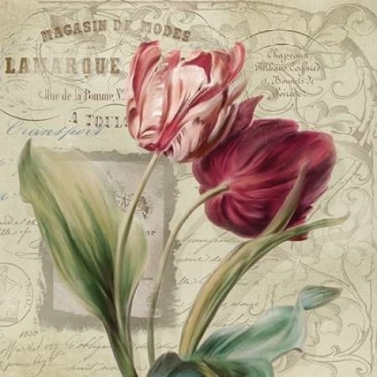 French Tulips I Poster Print by Carol Robinson-VARPDX15281 Image 1