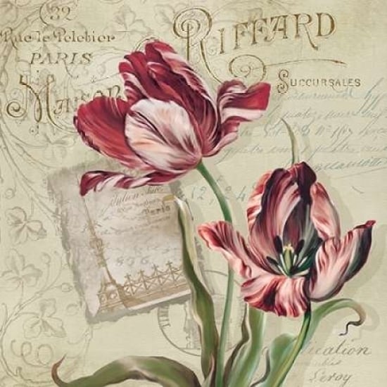 French Tulips II Poster Print by Carol Robinson-VARPDX15282 Image 1