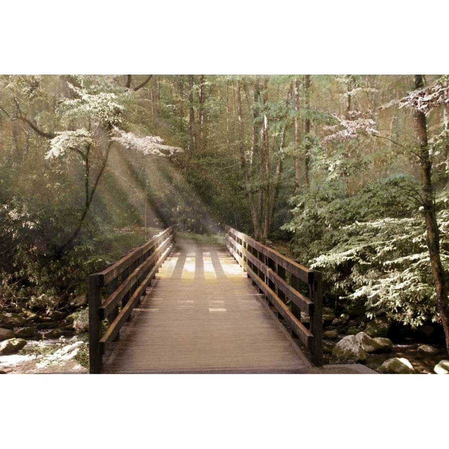 Footbridge Poster Print by Nan-VARPDX15290 Image 1