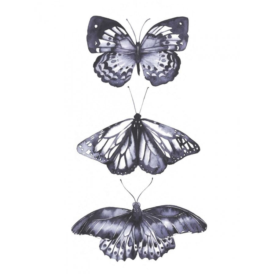 Monochrome Butterflies II Poster Print - Grace Popp-VARPDX152961D Image 1