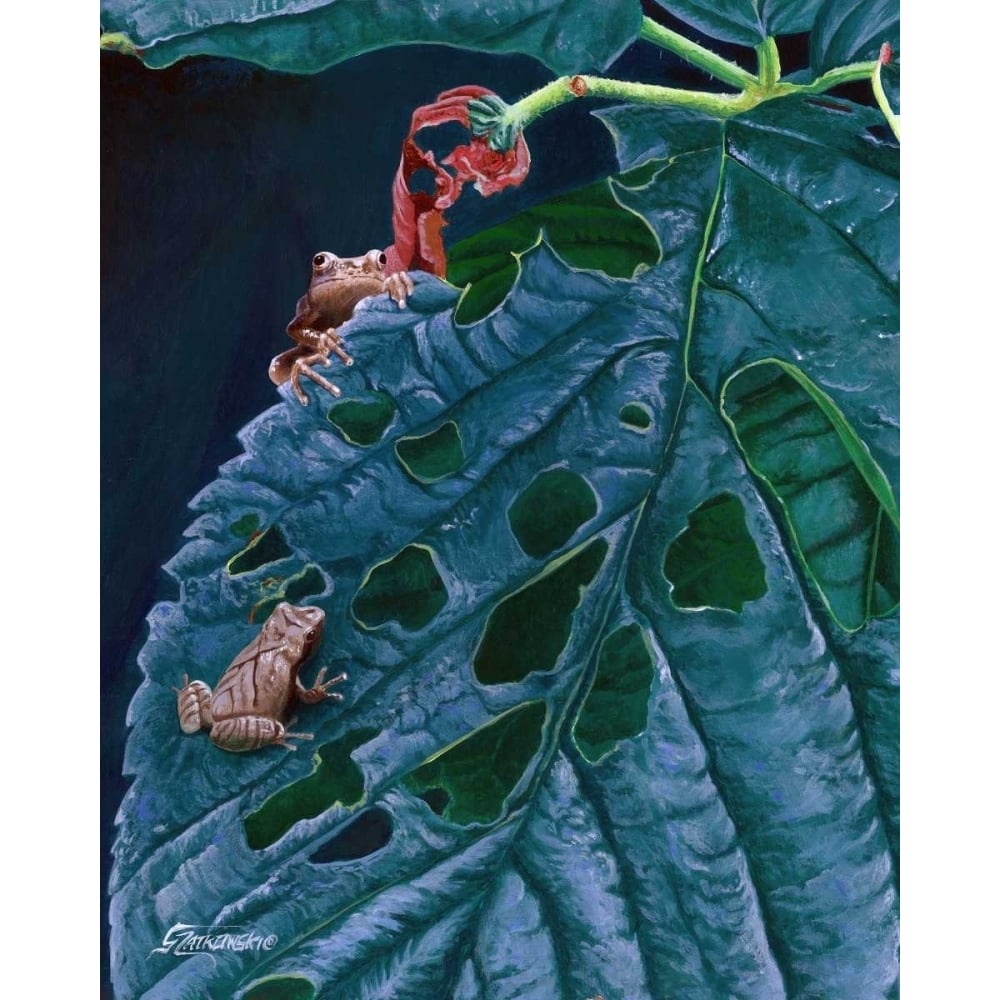 Spring Peepers I Poster Print - Fred Szatkowski-VARPDX152943GG Image 1