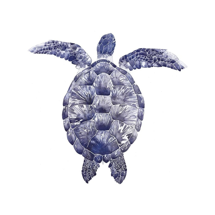 Marine Turtle I Poster Print - Grace Popp-VARPDX152962L Image 1