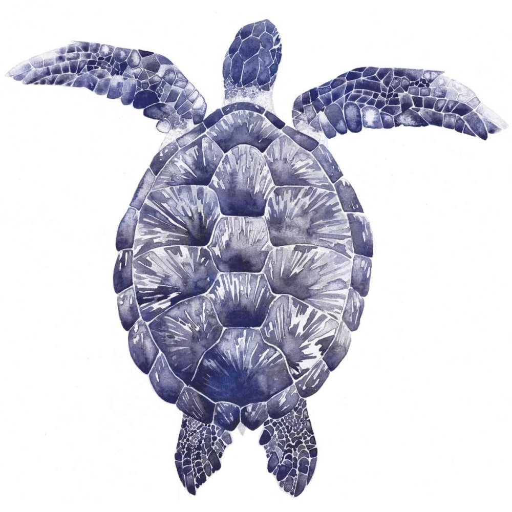 Marine Turtle I Poster Print - Grace Popp-VARPDX152962D Image 1