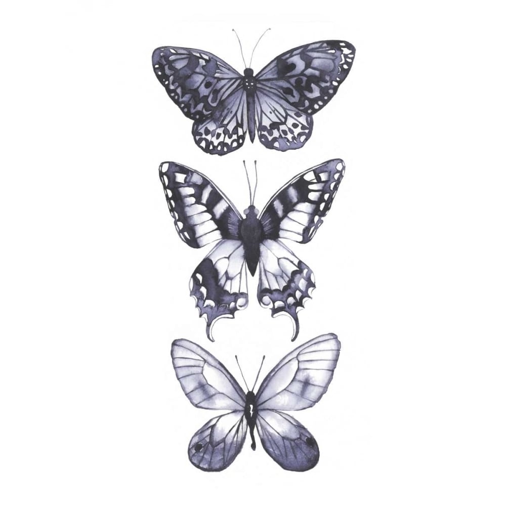 Monochrome Butterflies I Poster Print - Grace Popp-VARPDX152960D Image 1