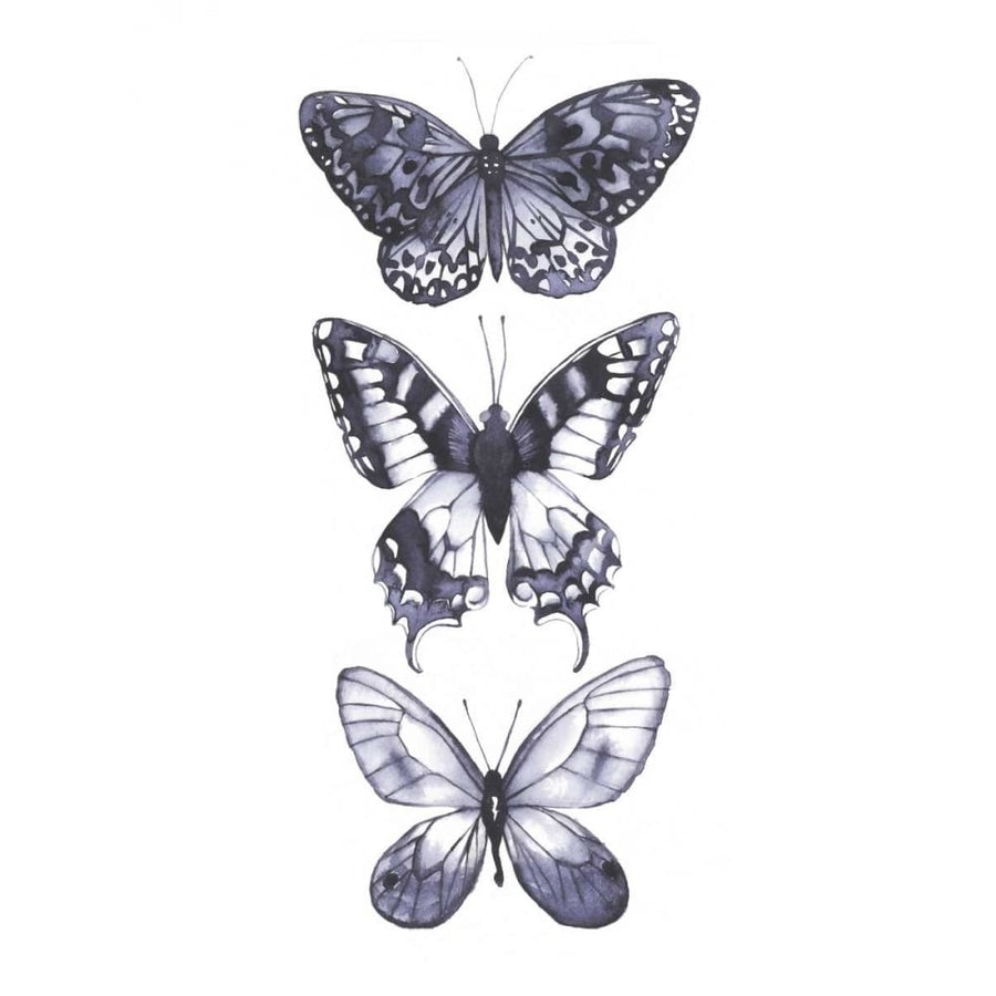 Monochrome Butterflies I Poster Print - Grace Popp-VARPDX152960D Image 1