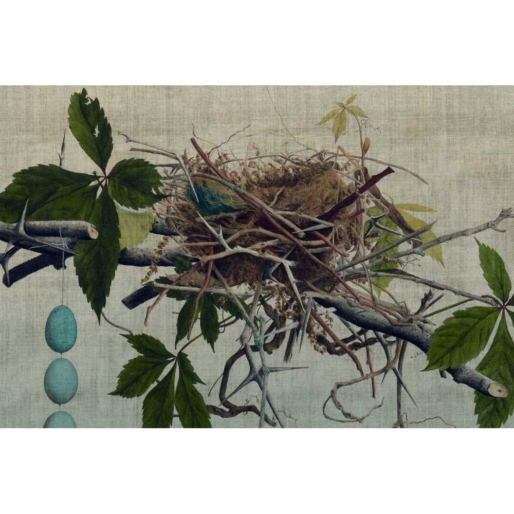 Nesting I Poster Print - John Butler-VARPDX153008Z Image 1