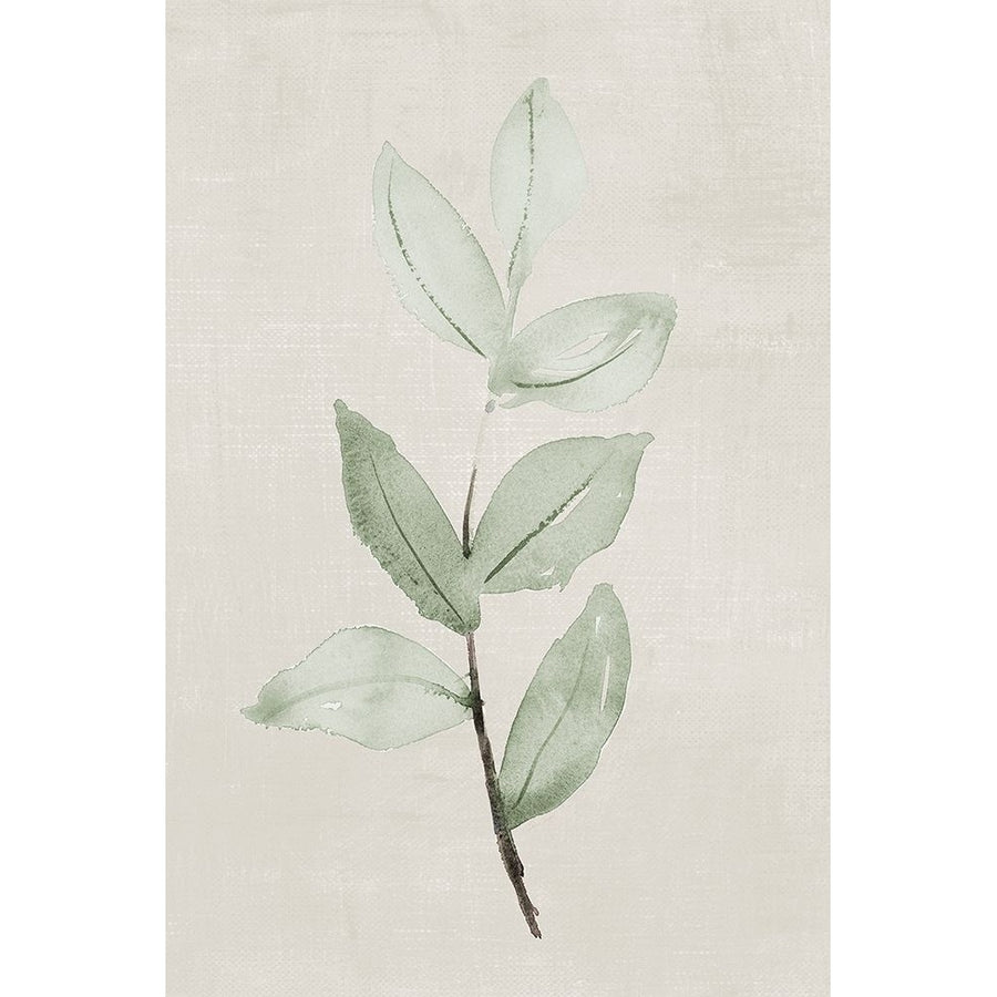 Softly Shaded Green Leaves I Poster Print - Lanie Loreth-VARPDX15305FB Image 1