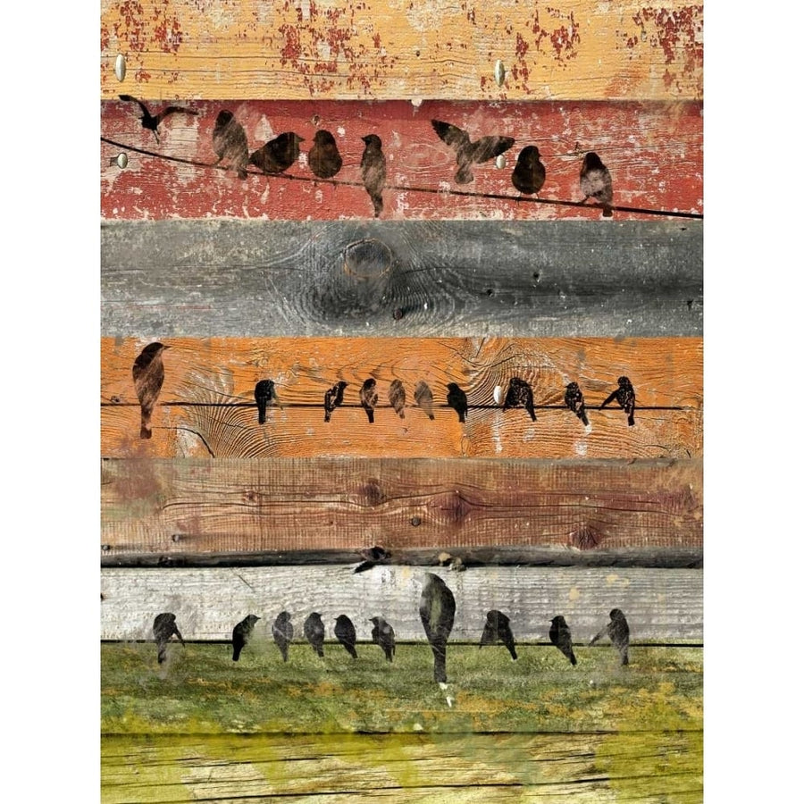 Birds on Wood I Poster Print - Irena Orlov-VARPDX153090GG Image 1