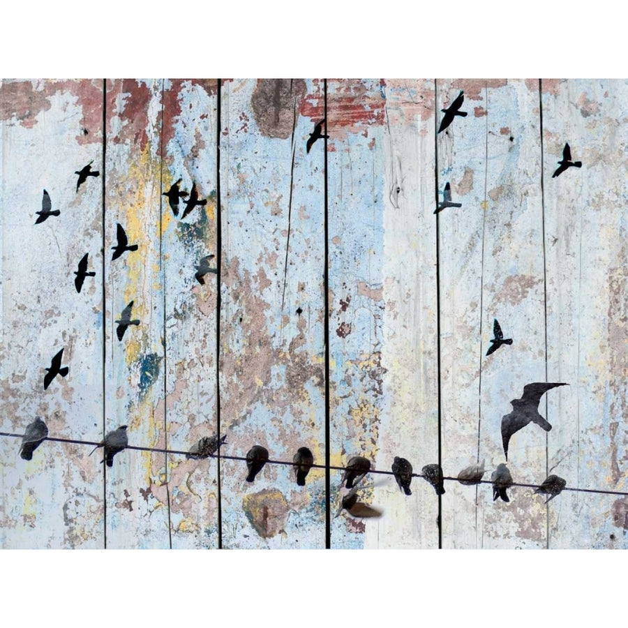 Birds on Wood III Poster Print - Irena Orlov-VARPDX153092GG Image 1