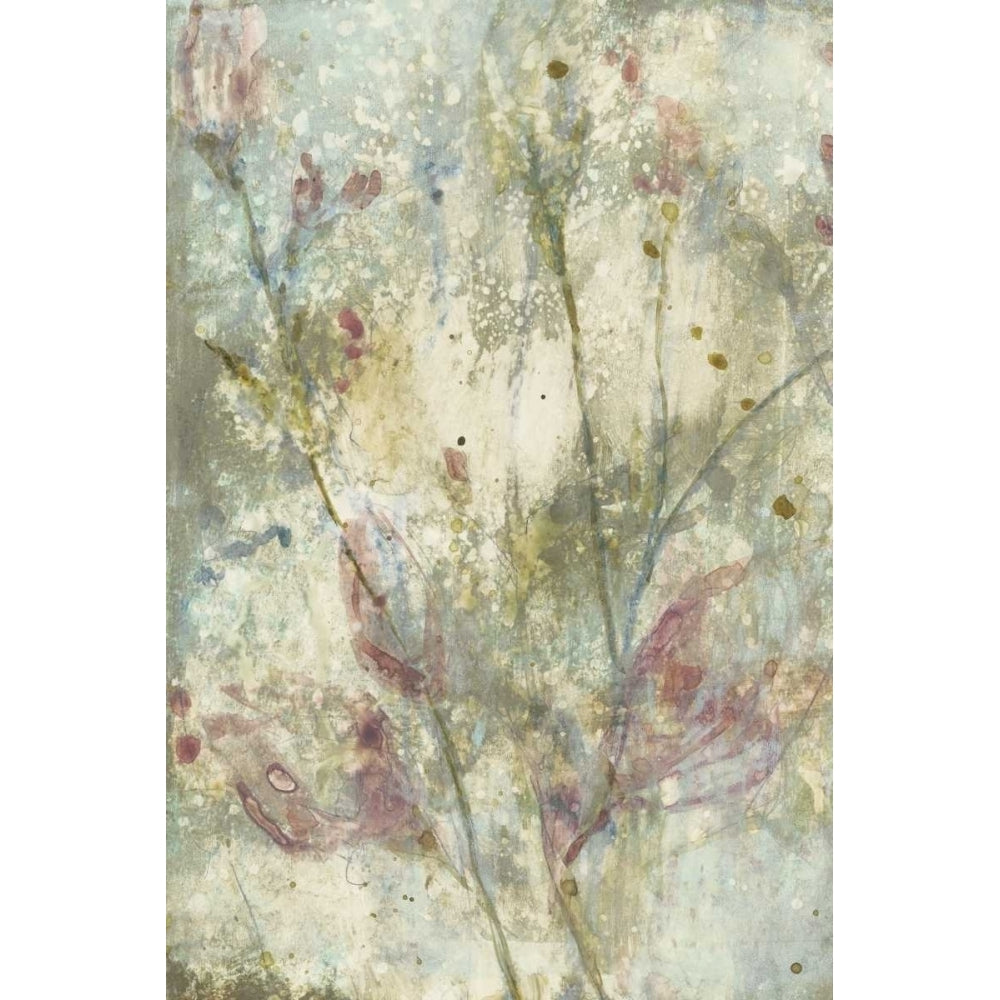 Flower Dream I Poster Print - Jennifer Goldberger-VARPDX153204FN Image 1