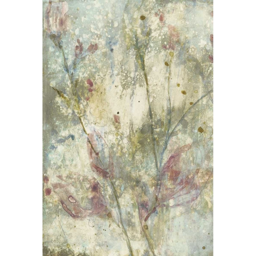 Flower Dream I Poster Print - Jennifer Goldberger-VARPDX153204FN Image 1