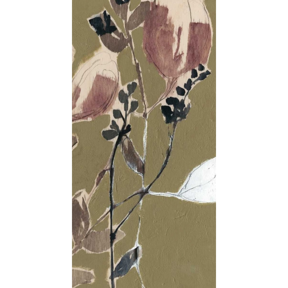 Mauve on Olive II Poster Print - Jennifer Goldberger-VARPDX153209FN Image 1