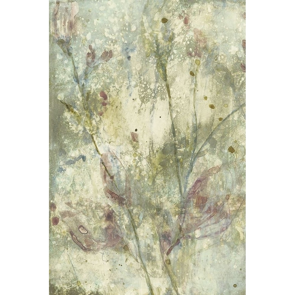 Flower Dream I Poster Print - Jennifer Goldberger-VARPDX153204Z Image 1