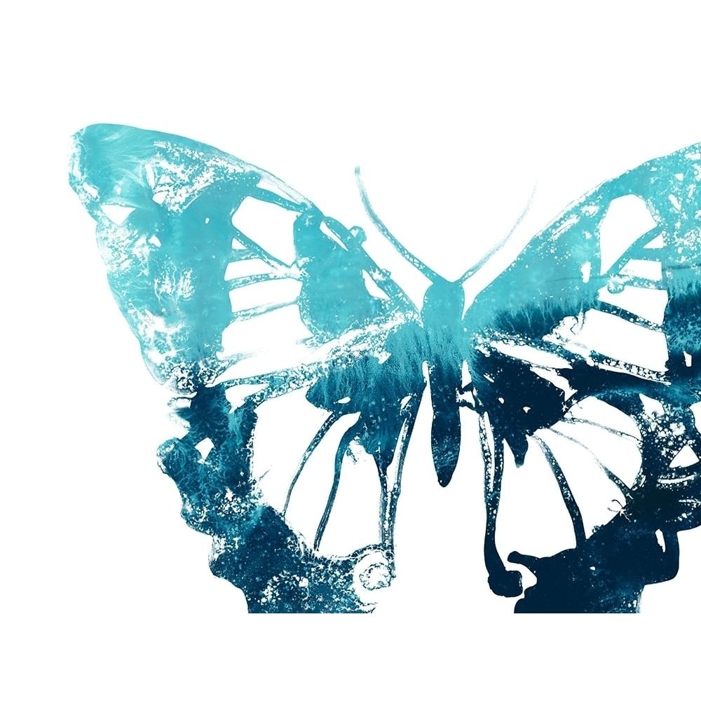 Butterfly Imprint I Poster Print - June Erica Vess-VARPDX153283D Image 1