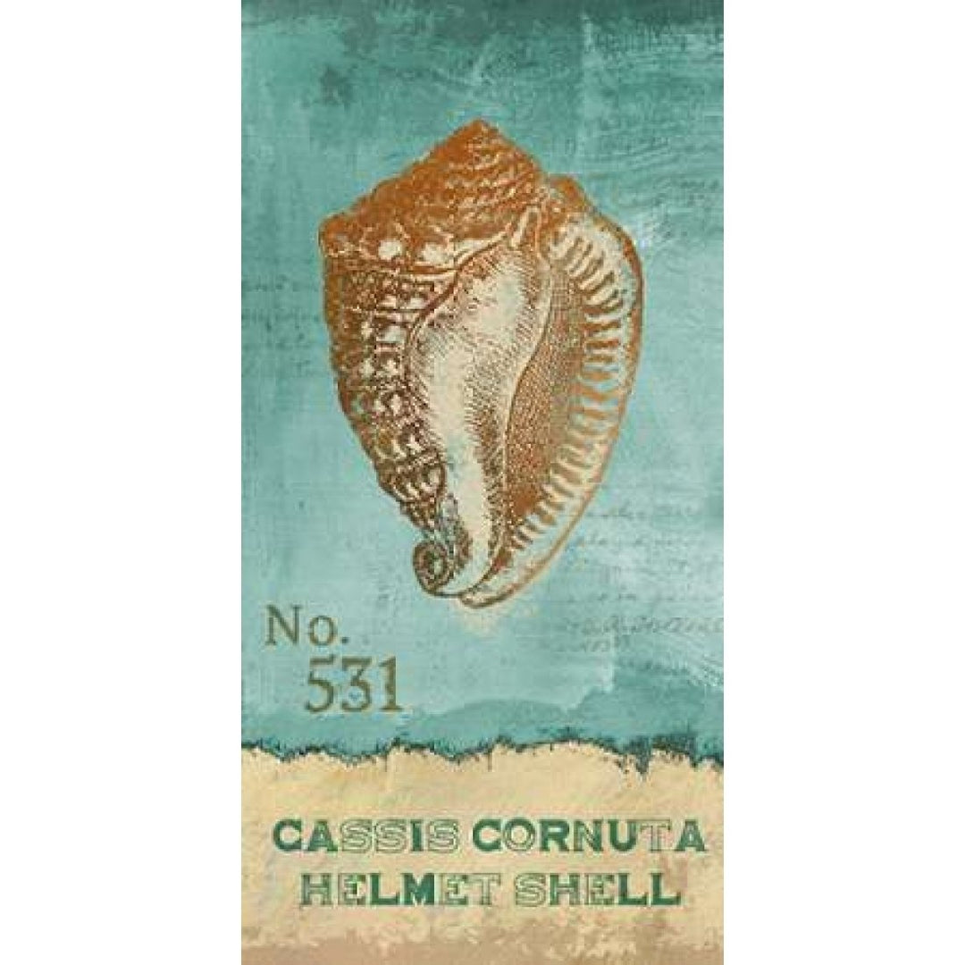 Helmet Shell Poster Print by Conrad Knutsen-VARPDX15324 Image 1