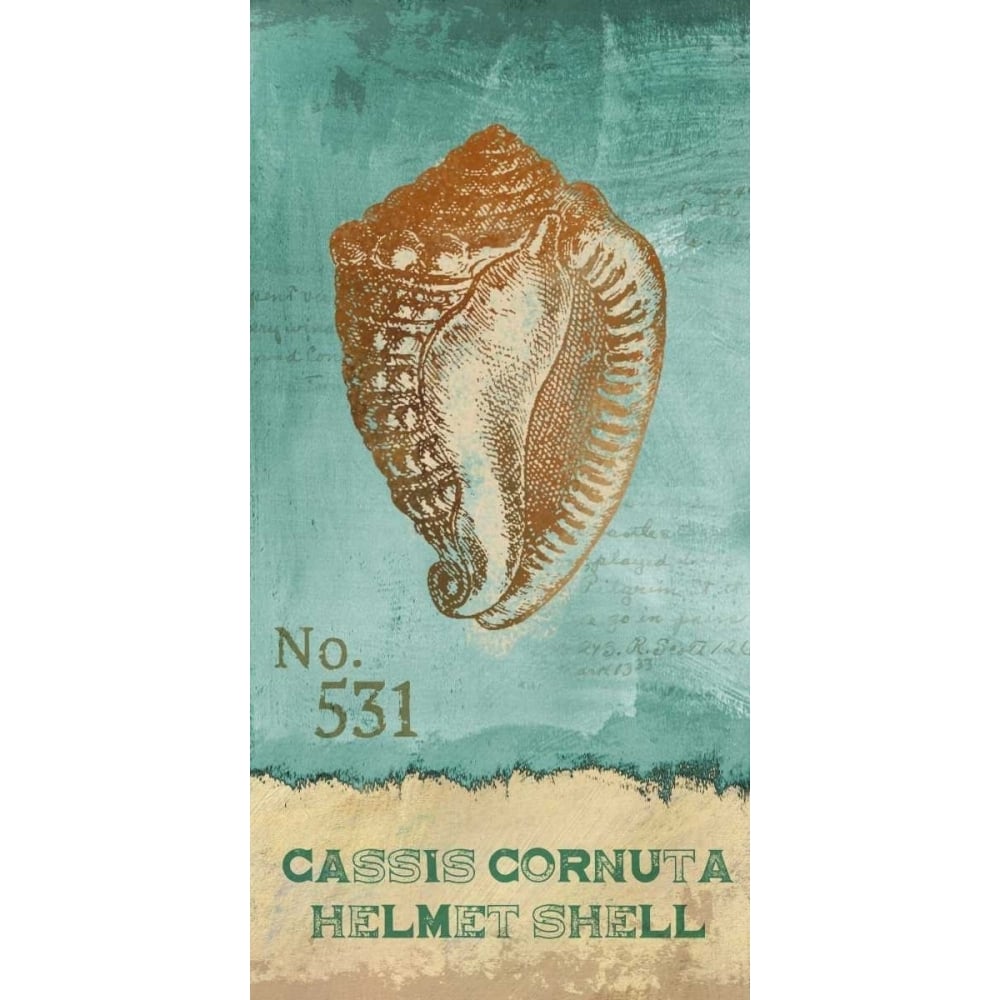 Helmet Shell Poster Print by Conrad Knutsen-VARPDX15324 Image 2