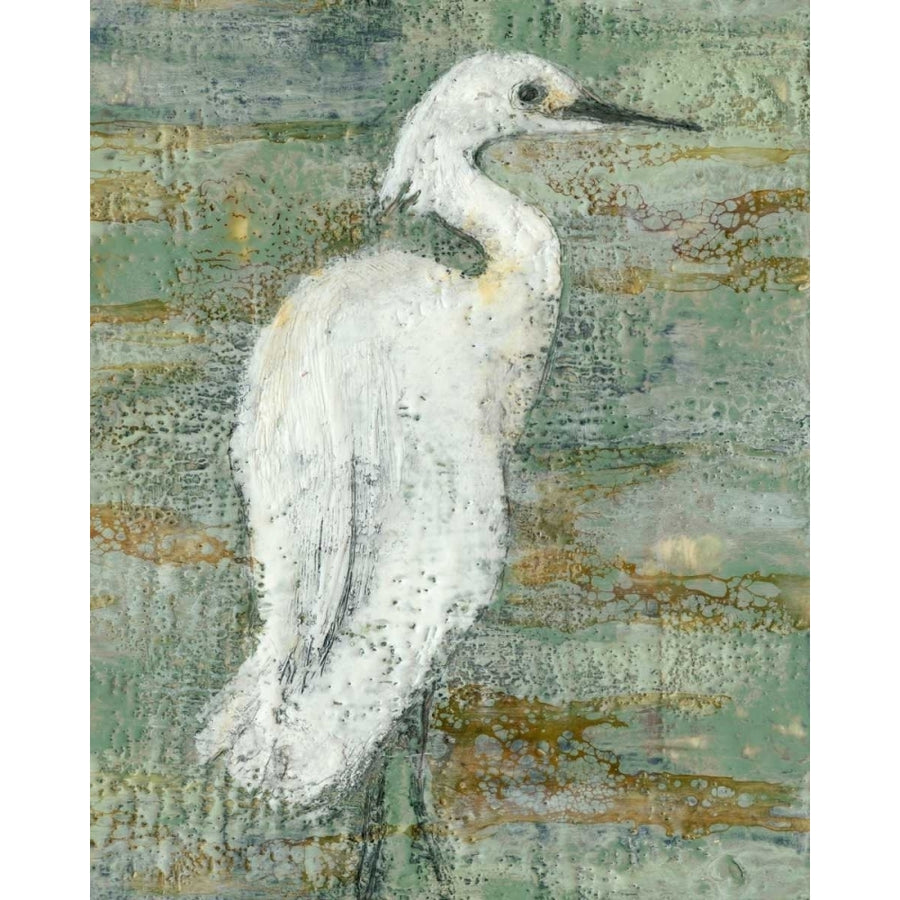 Textured Heron II Poster Print - Jennifer Goldberger-VARPDX153555Z Image 1