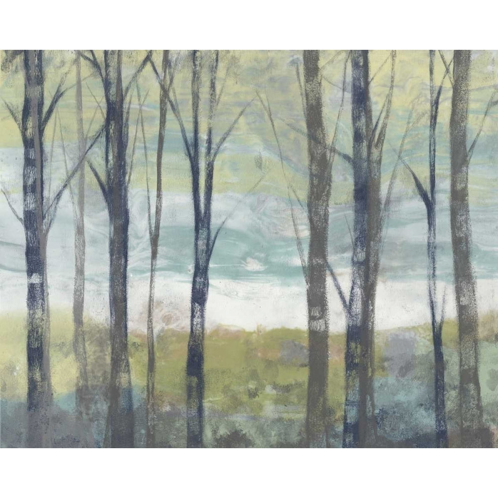 Pastel Birches II Poster Print - Jennifer Goldberger-VARPDX153586GG Image 1