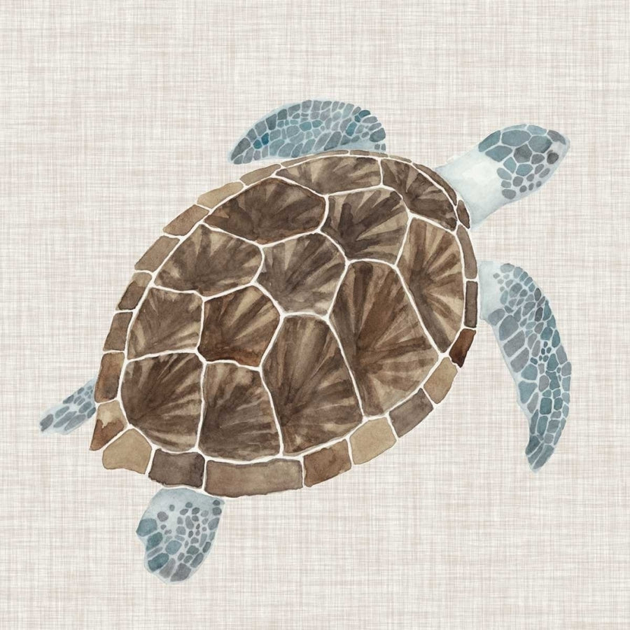 Sea Turtle I Poster Print - Naomi McCavitt-VARPDX153901D Image 1