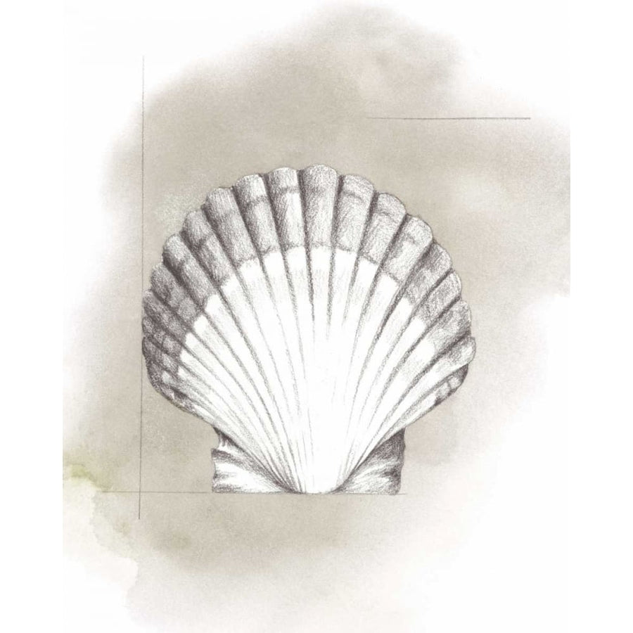 Shell Diagram II Poster Print - Grace Popp-VARPDX153975GG Image 1