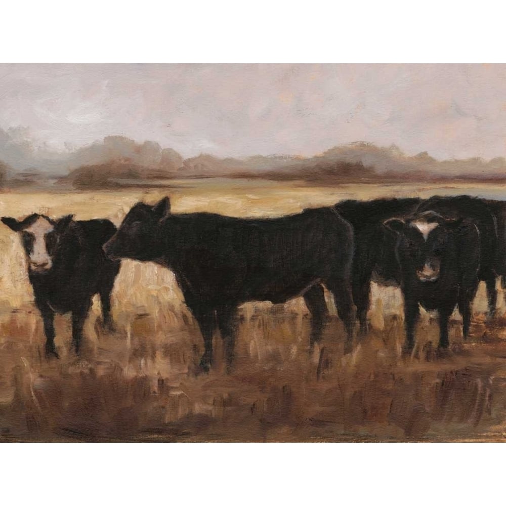 Black Cows I Poster Print - Ethan Harper-VARPDX154363FN Image 1