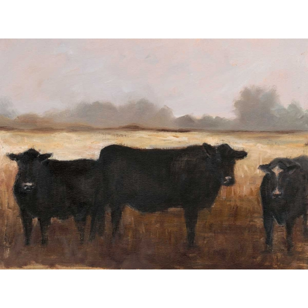 Black Cows I Poster Print - Ethan Harper-VARPDX154364FN Image 1