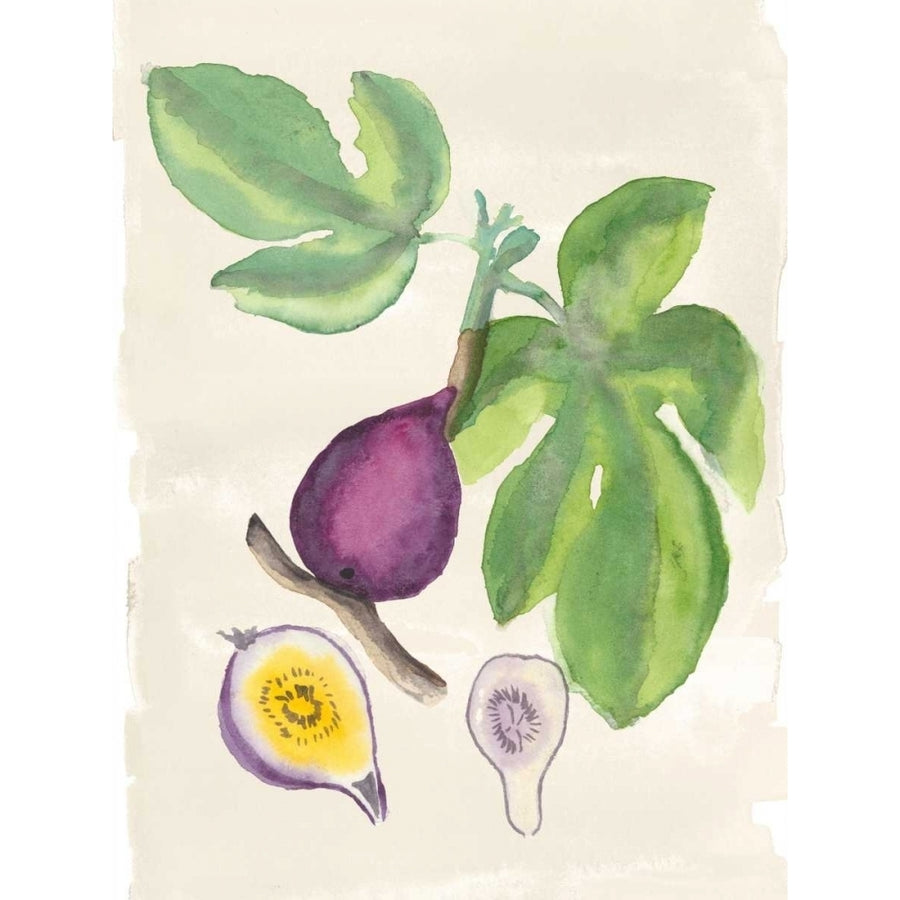 Watercolor Fruit I Poster Print - Naomi McCavitt-VARPDX154588D Image 1