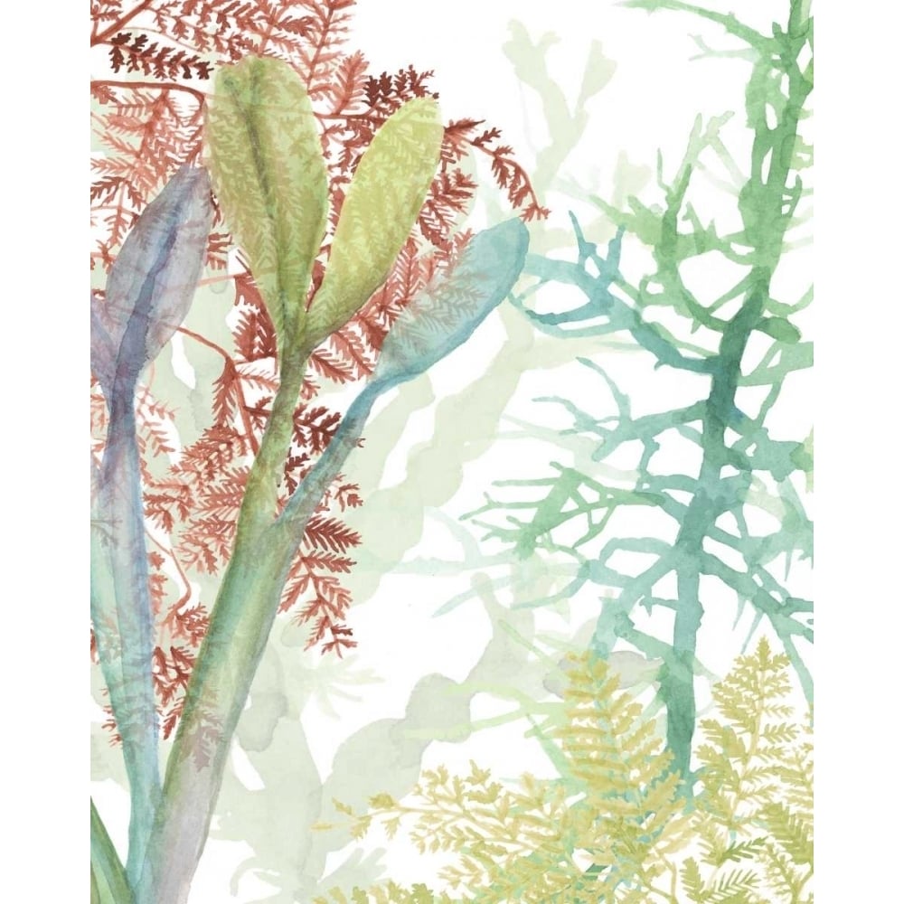 Woven Seaplants II Poster Print - Naomi McCavitt-VARPDX154794Z Image 1