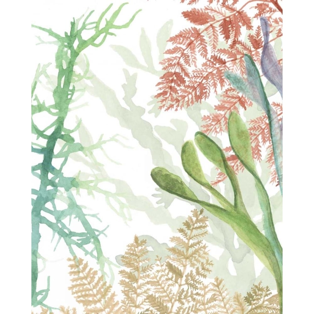 Woven Seaplants I Poster Print - Naomi McCavitt-VARPDX154793Z Image 1