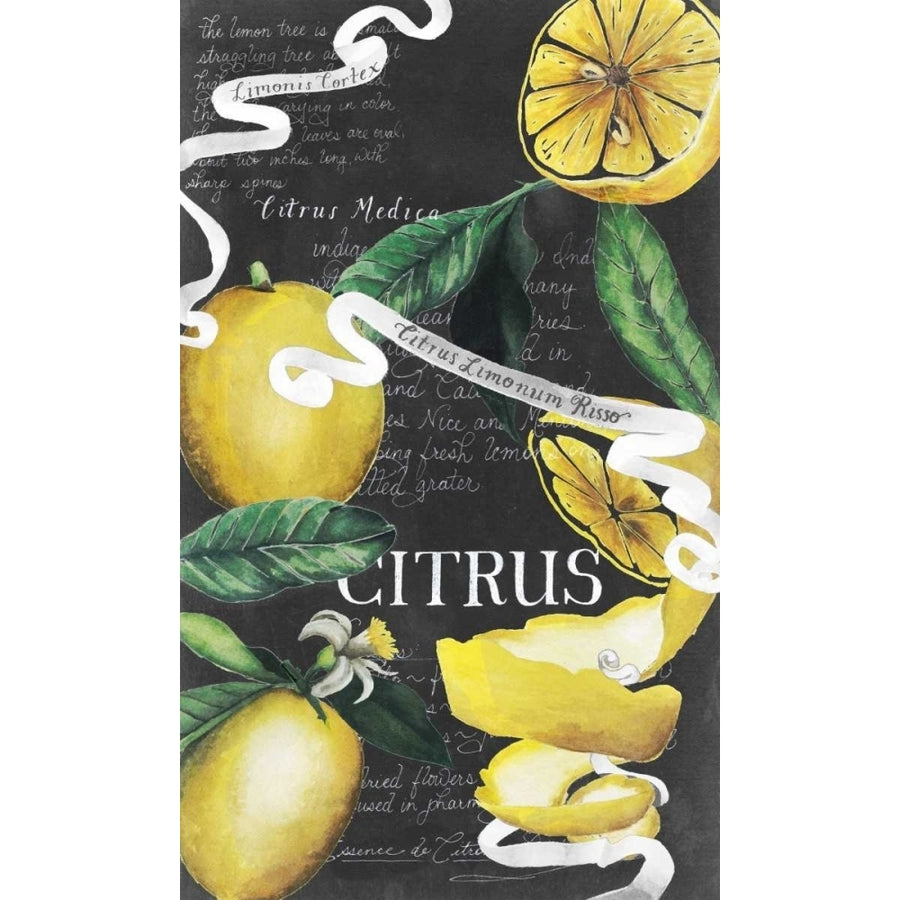 Chalkboard Citrus II Poster Print - Grace Popp-VARPDX155151GG Image 1