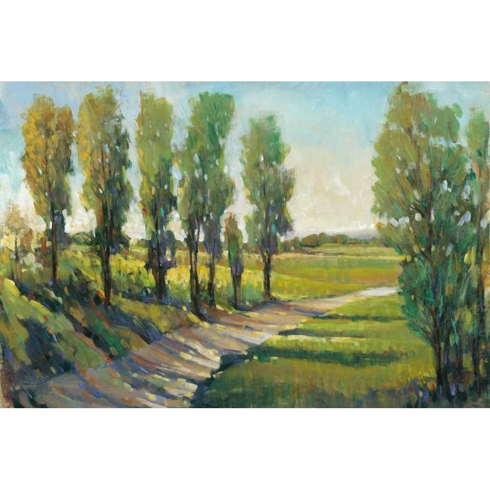 Lush Landscape I Poster Print - Tim OToole-VARPDX155233Z Image 1