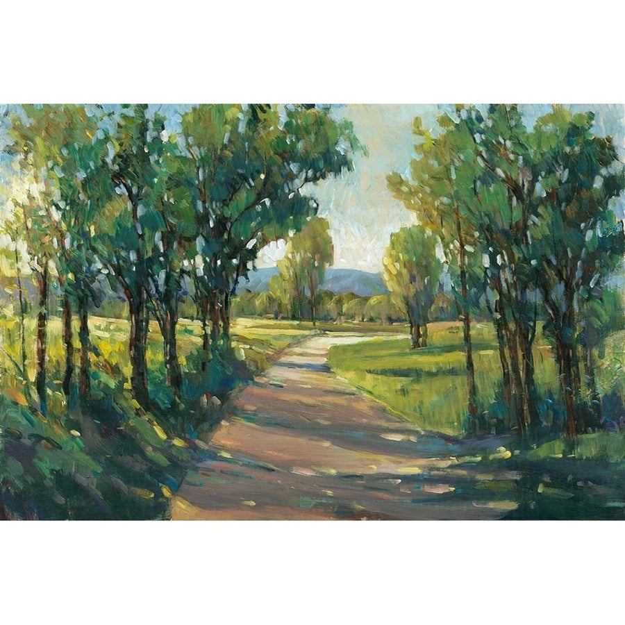 UA Lush Landscape II Poster Print - Tim OToole-VARPDX155234Z Image 1