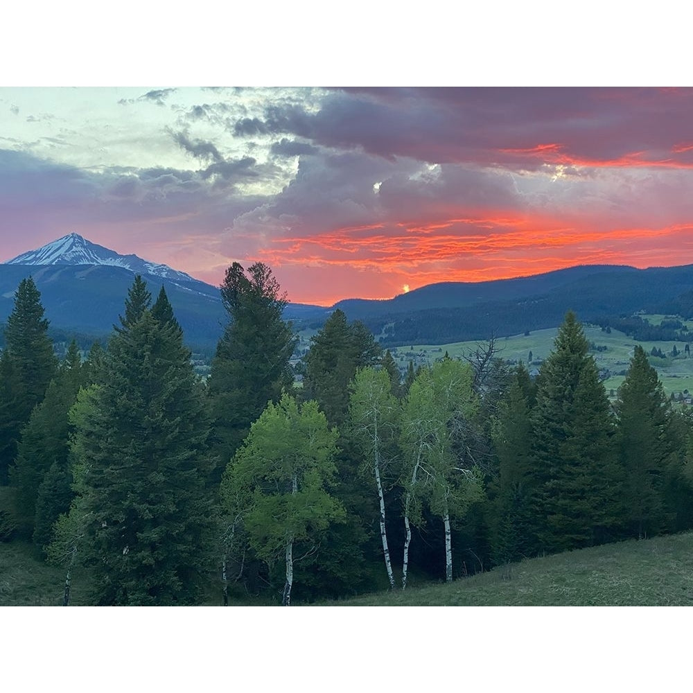 Sunset View From The Cabin Poster Print - Anna Coppel-VARPDX15544F Image 1