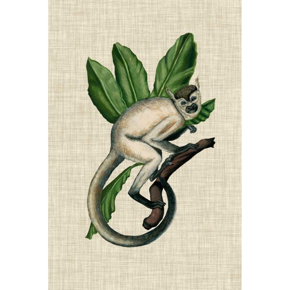 Canopy Monkey IV Poster Print - Naomi McCavitt-VARPDX155668Z Image 1