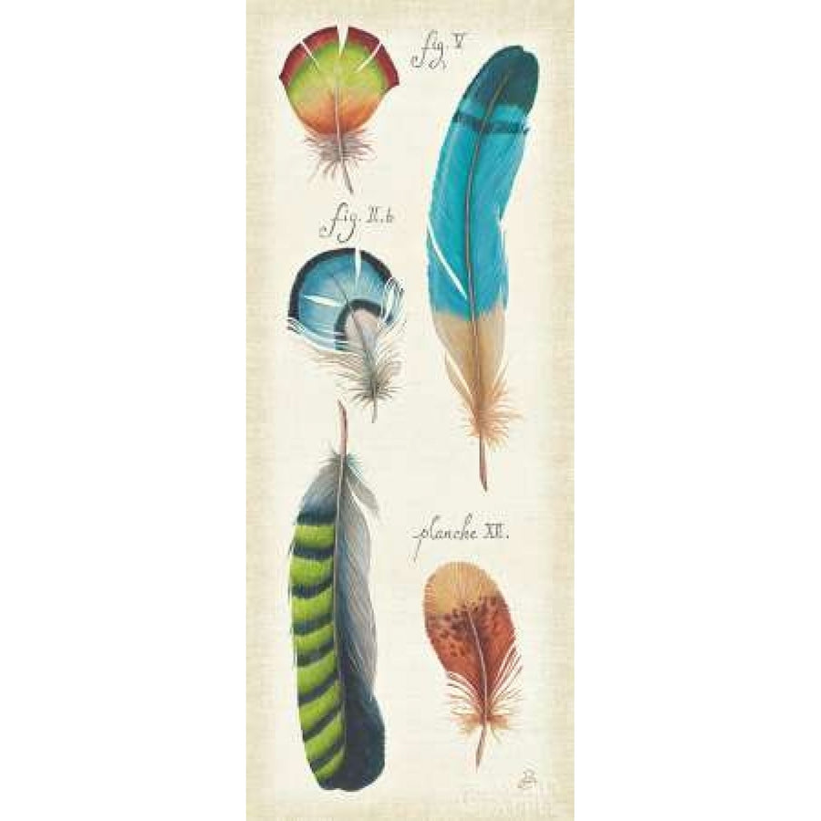 Ornithology III Panel Poster Print by Daphne Brissonnet-VARPDX15591 Image 1