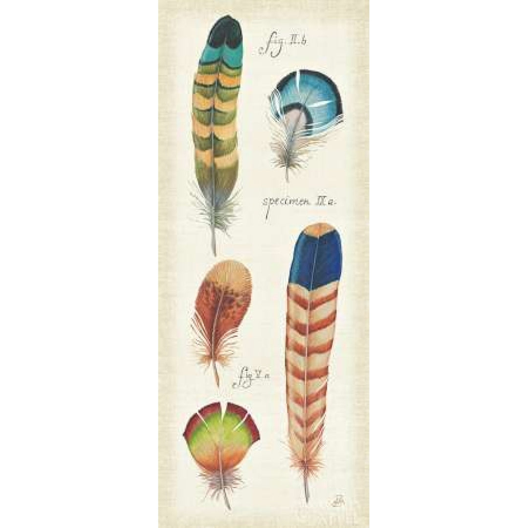 Ornithology IV Panel Poster Print by Daphne Brissonnet-VARPDX15592 Image 1