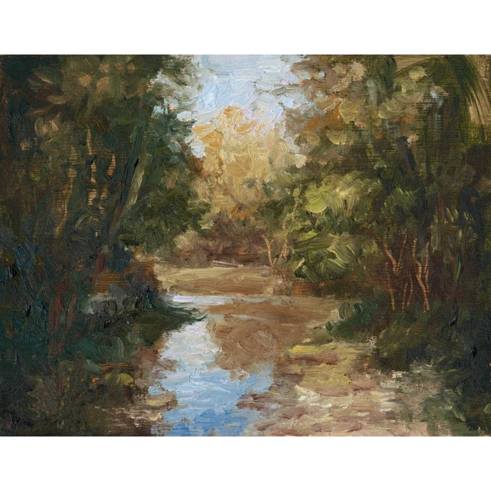 Winding River Poster Print - Mary Jean Weber-VARPDX156028Z Image 1