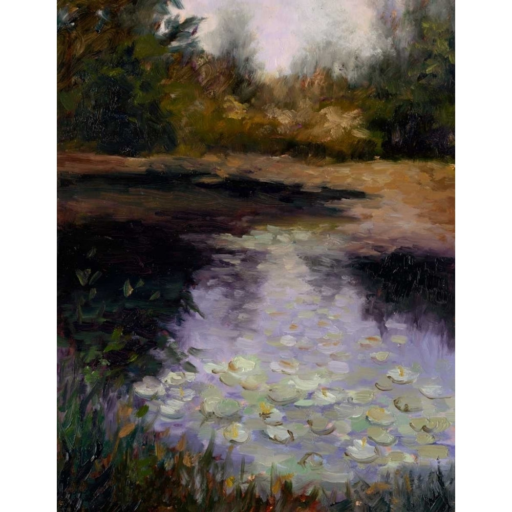 Oregon Water Lilies Poster Print - Mary Jean Weber-VARPDX156030Z Image 1