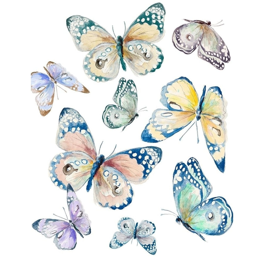 Colorful Isolated Butterflies Poster Print by Patricia Pinto-VARPDX15619A Image 1