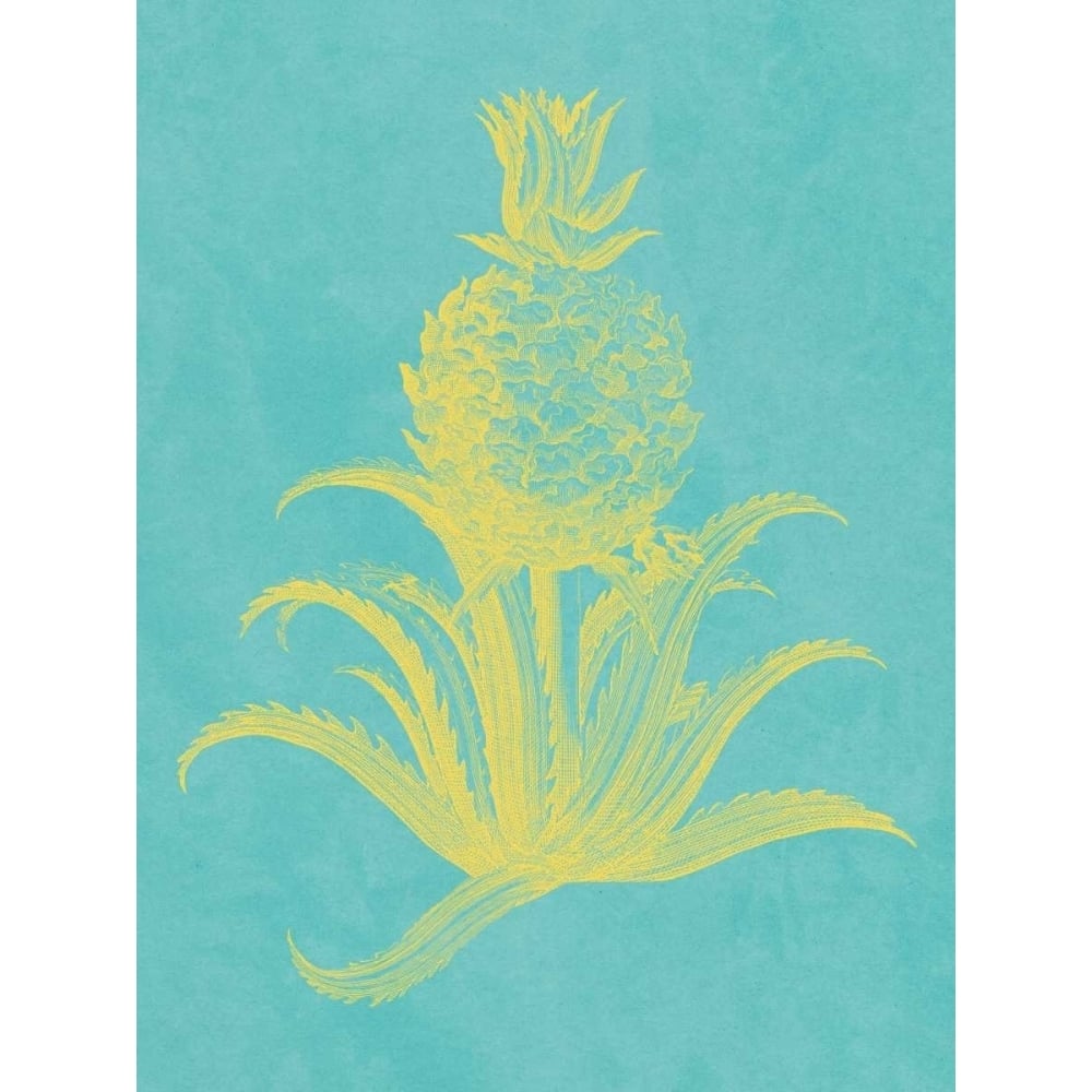 Pineapple Frais II Poster Print - Studio Vision-VARPDX156280Z Image 1