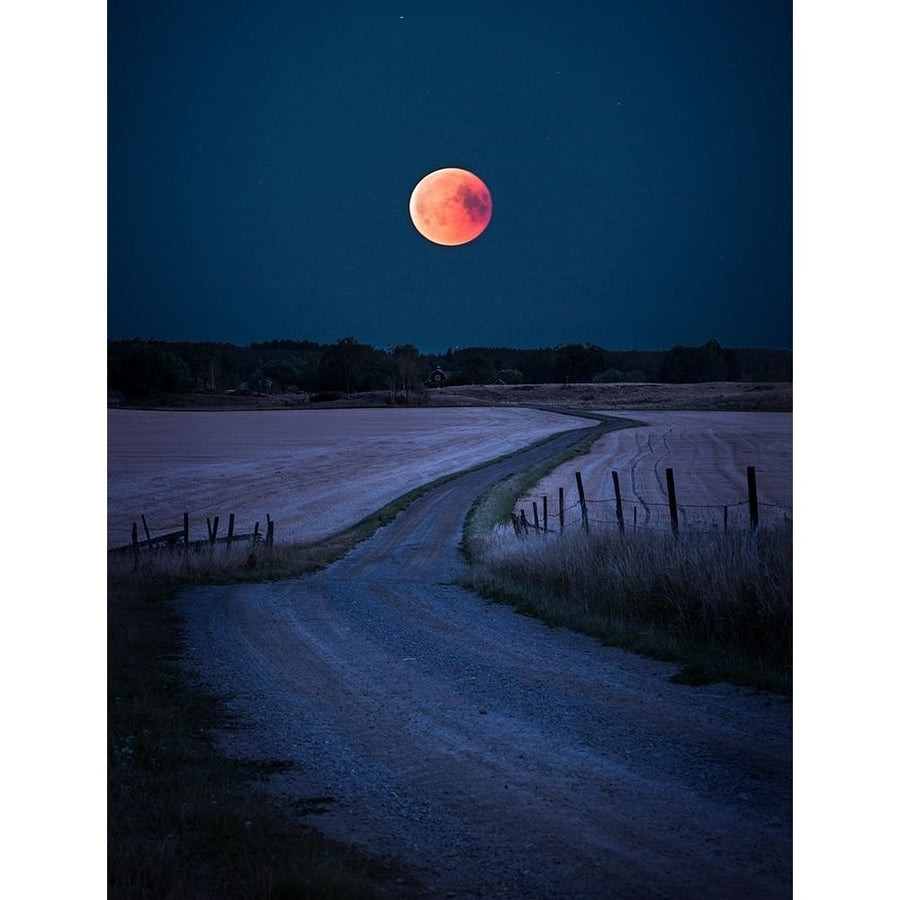 Bloodmoon 2018 Poster Print - Christian Lindsten-VARPDX1563173 Image 1