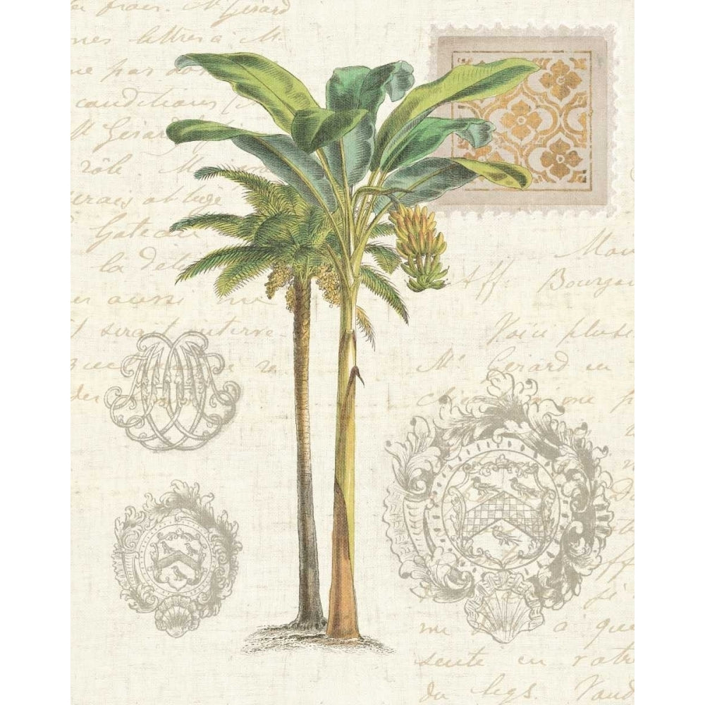 Vintage Palm Study I Poster Print by Wild Apple Portfolio-VARPDX15617 Image 2