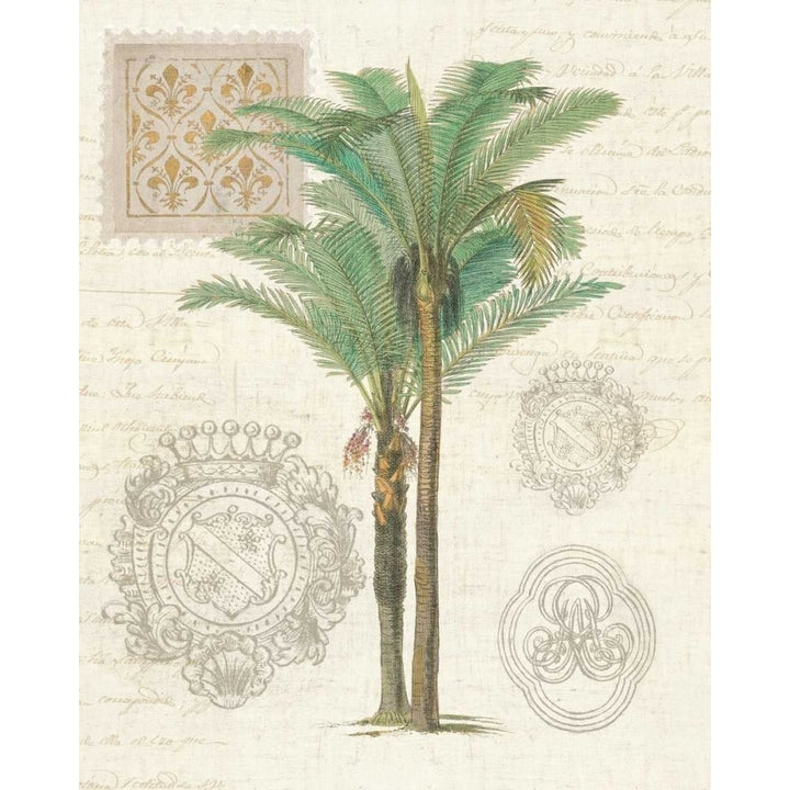 Vintage Palm Study II Poster Print by Wild Apple Portfolio-VARPDX15618 Image 2