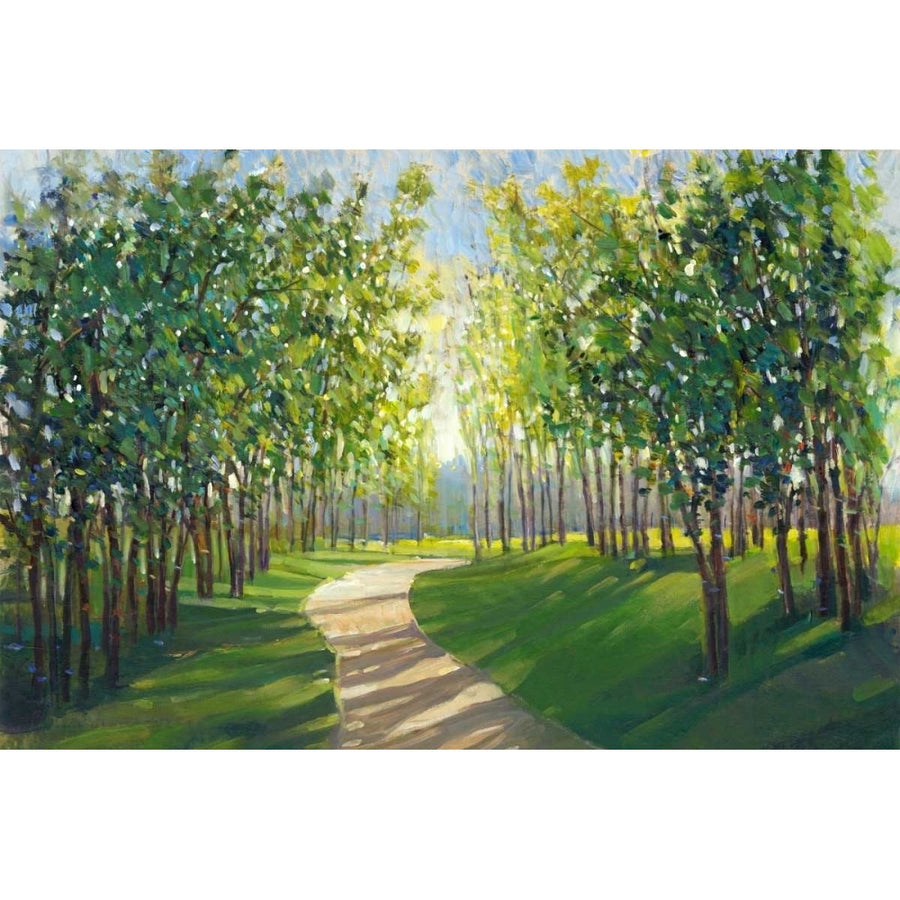 Walking Trail I Poster Print - Tim OToole-VARPDX156790GG Image 1