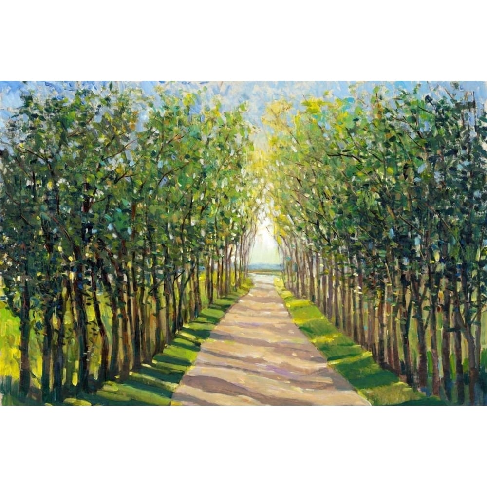 Walking Trail II Poster Print - Tim OToole-VARPDX156791GG Image 1